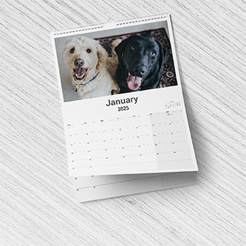 Wall Calendars