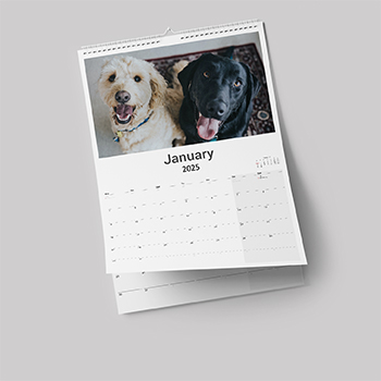 Wall Calendars
